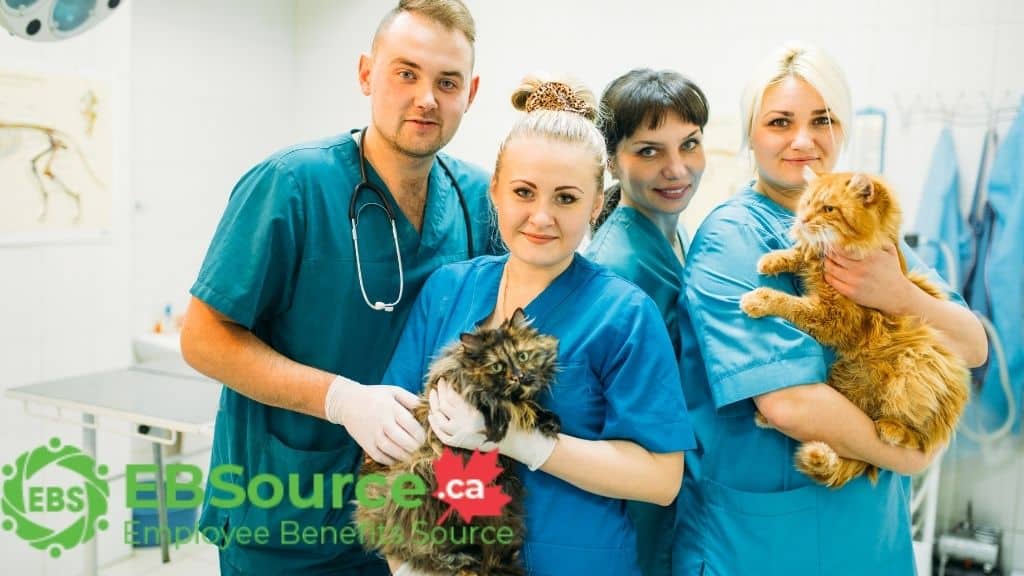 Becoming a Veterinarian in Canada - A 2026 Look 7 What are the Work Environment and Physical Demands of Veterinarians in Canada? ebs