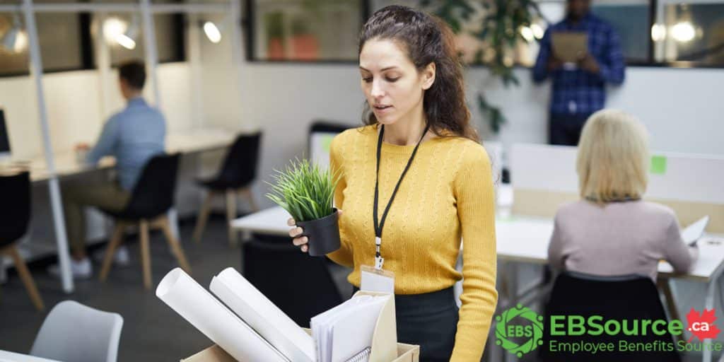 What to Do After Being Terminate Without Cause