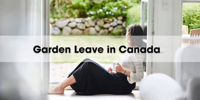 Everything Employees Need to Know about Garden Leave in Canada