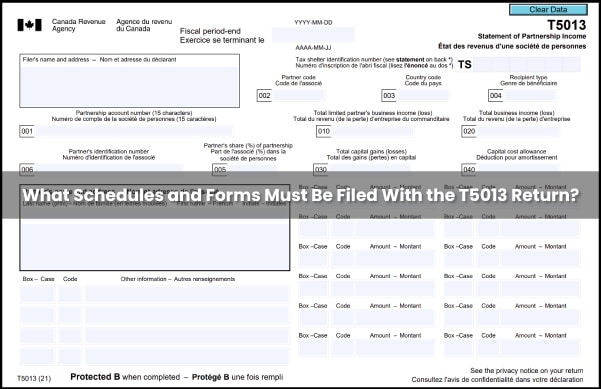 File your taxes using the information on your T5013 slip