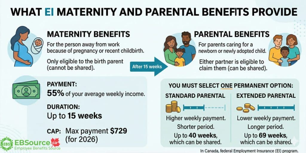EI maternity and parental benefits support you financially during time off for a new or adopted child