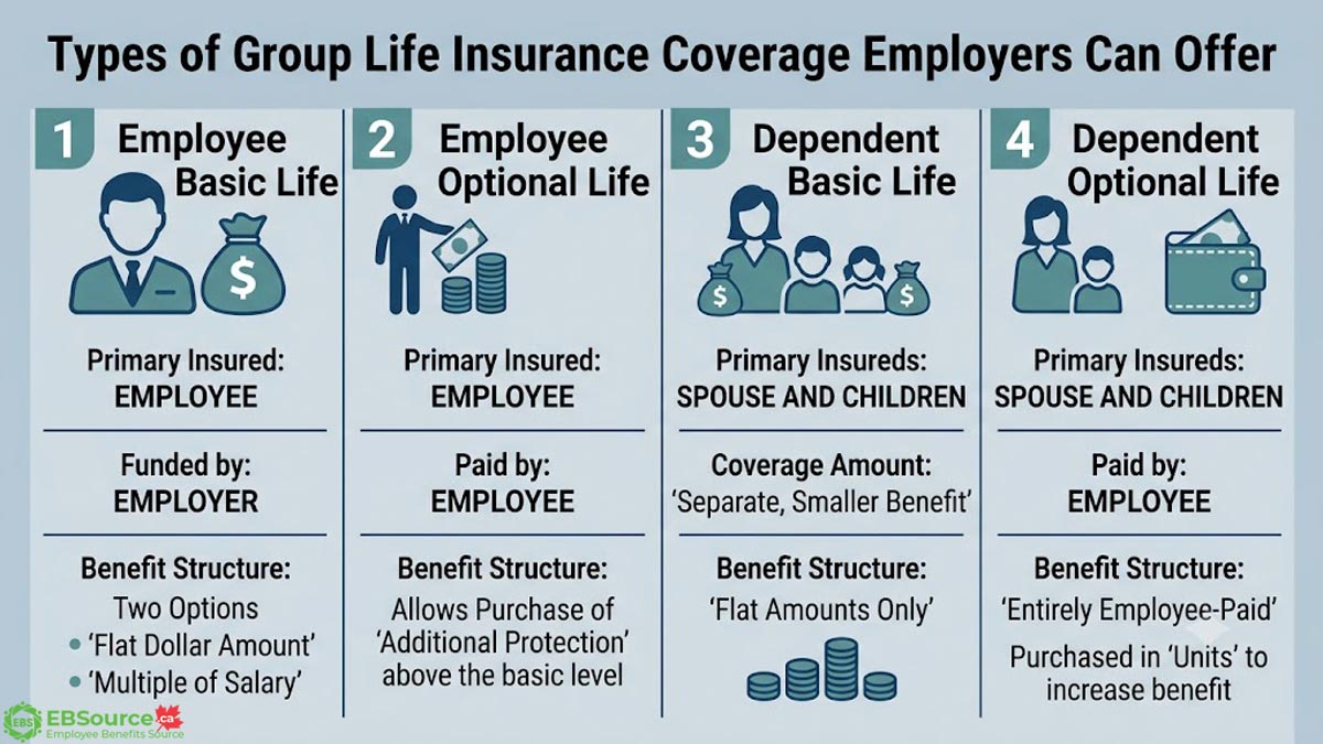 Overview of the four common types of group life insurance employers can offer
